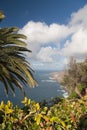 Tenerife coast