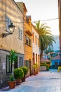 Colourful houses, palm on street Puerto de la Cruz town Tenerife Canary Islands