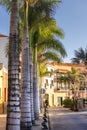 Tenerife. Colourful houses and palm trees on street in Puerto de la Cruz town Royalty Free Stock Photo