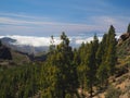 Tenerife seen from high mountain next to Roque Nublo