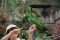 Tenerife, Spain 03.20.2018: Prezentation of parrots in the Jungle park, as a zoological centre Royalty Free Stock Photo