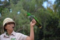 Tenerife, Spain 03.20.2018: Prezentation of parrots in the Jungle park, as a zoological centre Royalty Free Stock Photo