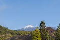 Tenerife, Teide Royalty Free Stock Photo