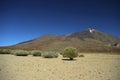 Tenerife Teide Nationalpark