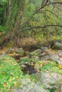 The Tenes river during the autumn season