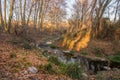 The Tenes river with riverine forest