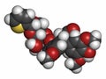 Teniposide cancer drug molecule (topoisomerase II inhibitor). Atoms are represented as spheres with conventional color coding: