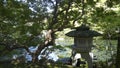 Tenjuan Garden, Kyoto, Honshu Island, Japan Royalty Free Stock Photo