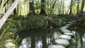 Tenjuan Garden, Kyoto, Honshu Island, Japan Royalty Free Stock Photo