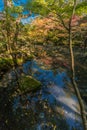 Tenjuan Temple pond Garden. Higashiyama, Kyoto, Japan