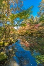 Tenjuan Temple pond Garden. Higashiyama, Kyoto, Japan