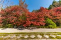 Tenjuan Temple raked gravel Rock Garden. Kyoto, Japan Royalty Free Stock Photo