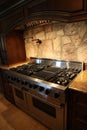 Tennesee Home Gas Stainless Steel Stove and Oven