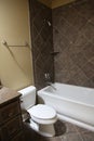 Tennesee Home Guest Bathroom Royalty Free Stock Photo