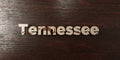 Tennessee - grungy wooden headline on Maple - 3D rendered royalty free stock image