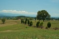 Tennessee Landscape Royalty Free Stock Photo