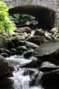 Tennessee Streams Summertime