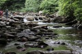 Tennessee Streams Summertime
