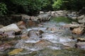 Tennessee Streams Summertime