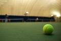 Tennis Anyone? Royalty Free Stock Photo