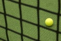 Tennis ball