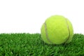 Tennis ball