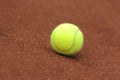 Tennis ball Royalty Free Stock Photo