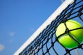 Tennis ball Royalty Free Stock Photo