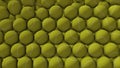 Tennis ball animation filling up spaces.