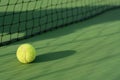 Tennis ball on blur net Royalty Free Stock Photo