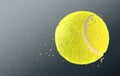 Tennis Ball Royalty Free Stock Photo