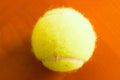 Tennis Ball Detail Closeup Studio Single Macro