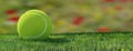 Tennis ball on grass. Bright yellow color sphere on green lawn court, closeup view, 3d render Royalty Free Stock Photo