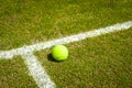 Tennis ball on a grass court Royalty Free Stock Photo