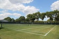 Tennis ball on grass tennis court Royalty Free Stock Photo