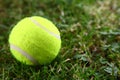 Tennis ball on green grass Royalty Free Stock Photo