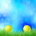 Tennis ball on a green grass Royalty Free Stock Photo