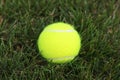 Tennis ball on green grass Royalty Free Stock Photo