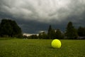 A tennis ball on the lawn
