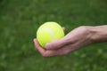 Tennis ball in man hand Royalty Free Stock Photo