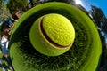 Tennis ball in the middle of artificial lawn in backyard. Fisheye camera shot, close-up. Healthy outdoor sports.