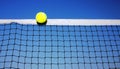 Tennis ball and net Royalty Free Stock Photo