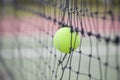 Tennis ball in net at tennis court Royalty Free Stock Photo