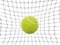 Tennis ball in the net on a white background Royalty Free Stock Photo