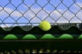 Tennis ball out Royalty Free Stock Photo