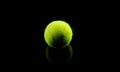 tennis ball Royalty Free Stock Photo