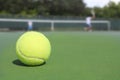 Tennis ball Royalty Free Stock Photo