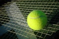 Tennis Ball on Racket