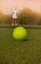 Tennis ball and silhouette of tennis player Royalty Free Stock Photo