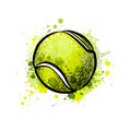 Tennis ball from a splash of watercolor, hand drawn sketch Royalty Free Stock Photo